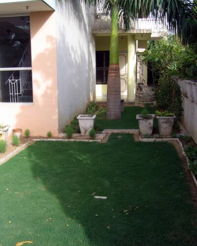 Spoonbill Guest House, Bharatpur 5